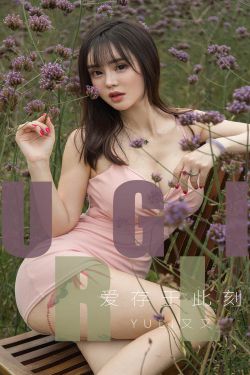 女婿的比丈夫的大